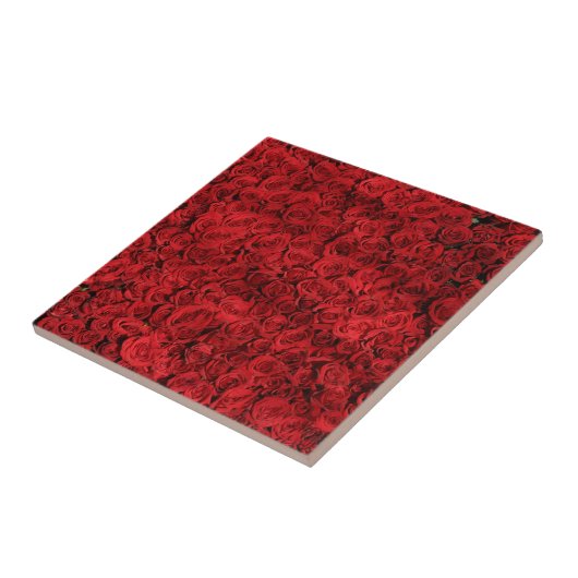 Honderden mooie rode rozen tegeltje (Zijkant)