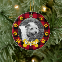 Hondfoto, familiepuppy, bot, poten, buffelstang