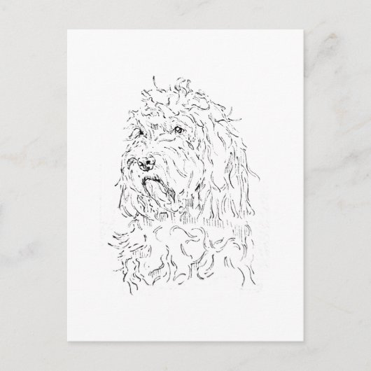 Hondillustratie, Cute Art Cockapoo Briefkaart (Voorkant)