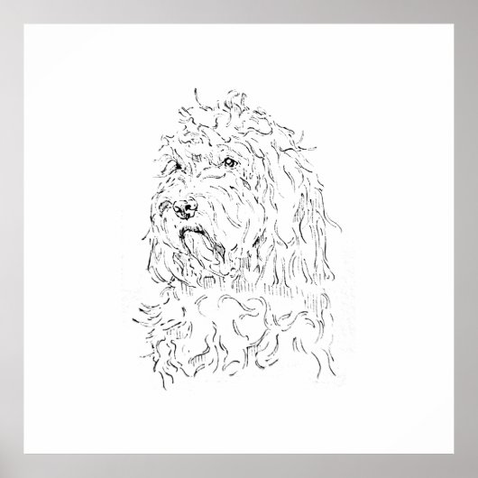 Hondillustratie, wandkunst Cockapoo Poster (Voorkant)