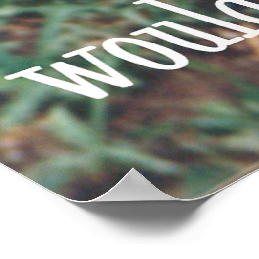 hondjas poster (Hoek)