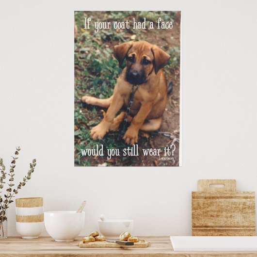 hondjas poster (Keuken)