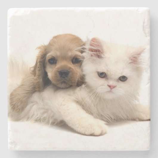 Hondje en Kitten Stenen Onderzetter (Voorkant)
