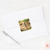 Hondje en Kitten, Vierkante Sticker (Envelop)