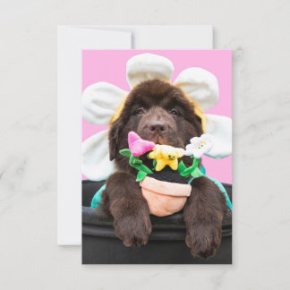 Hondje in een bloempot wenskaart 2 bedankkaart