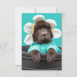 Hondje in een bloempot wenskaart bedankkaart