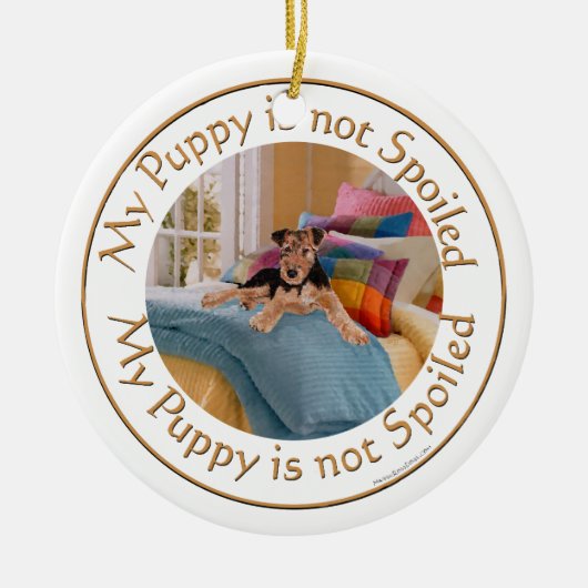 Hondje is niet verwend keramisch ornament (Voorkant)