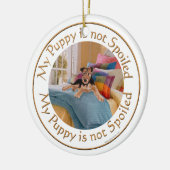 Hondje is niet verwend keramisch ornament (Links)