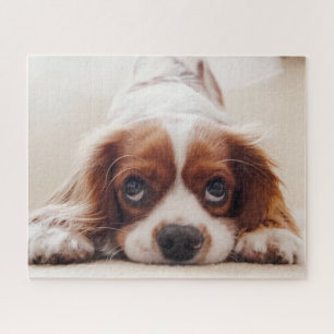 Hondje Legpuzzel