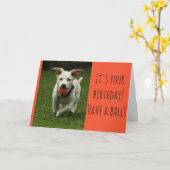 Hondje met Bal Kaart (Gele Bloem)