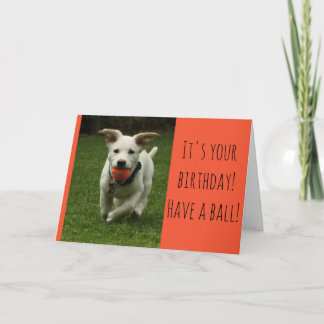 Hondje met Bal Kaart