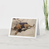 Hondje met halsband kaart (Voorkant)