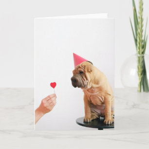 Hondje met hoed kaart
