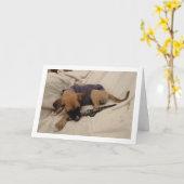 Hondje met hondenriem kaart (Gele Bloem)