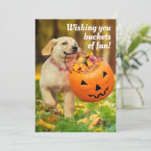 Hondje Met Pompoen Emmer Kaart (Staand voorkant)