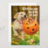 Hondje Met Pompoen Emmer Kaart (Voorkant / Achterkant)