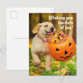 Hondje Met Pompoen Emmer Uitnodiging Briefkaart (Voorkant / Achterkant)