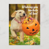 Hondje Met Pompoen Emmer Uitnodiging Briefkaart (Voorkant)