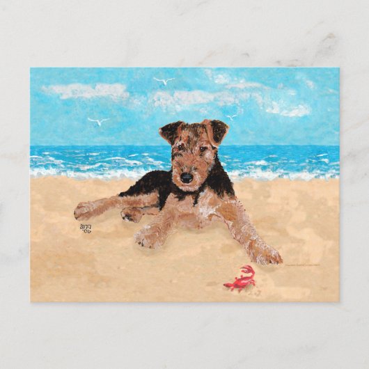 Hondje op het Strand Briefkaart (Voorkant)