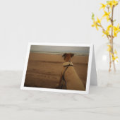 Hondje op het strand kaart (Gele Bloem)