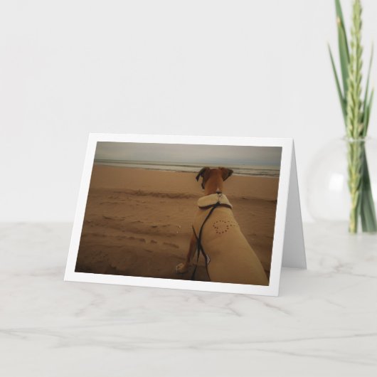 Hondje op het strand kaart (Voorkant)