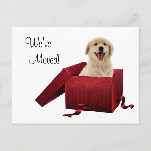Hondje verhuisbericht ansichtkaarten aankondigingskaart (Voorkant)