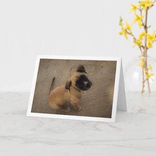 Hondje Verliefd Kaart (Gele Bloem)