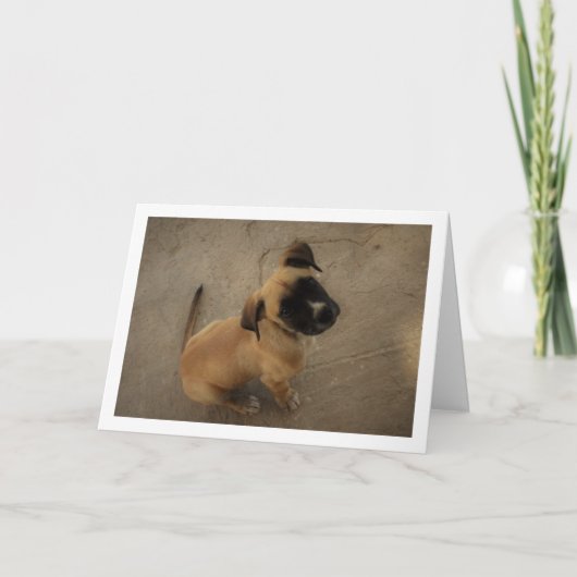 Hondje Verliefd Kaart (Voorkant)