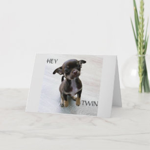 HONDJE WIL DAT DE VERJAARDAG VAN MIJN TWEELING 'T KAART
