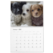 Hondjes in Truien Kalender (Jan 2027)