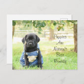 Hondjes op ansichtkaarten zijn de beste remedie va briefkaart (Voorkant / Achterkant)