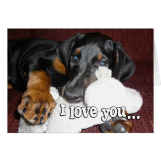 Hondjesliefde - Cute Dobermann Pinscher Puppy