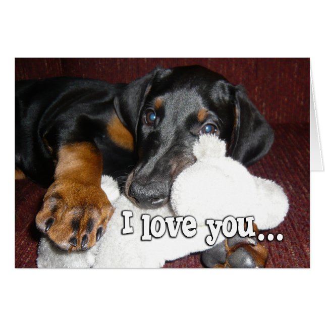 Hondjesliefde - Cute Dobermann Pinscher Puppy (Voorkant Horizontaal)