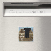 Hondjesliefde Magneet (Insitu (Vaatwasser))
