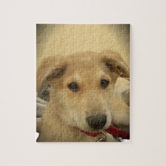 Hondjesliefde: Mensens Beste Vriend Legpuzzel (Verticaal)