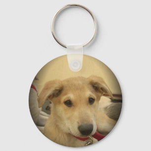 Hondjesliefde: Mensens Beste Vriend Sleutelhanger