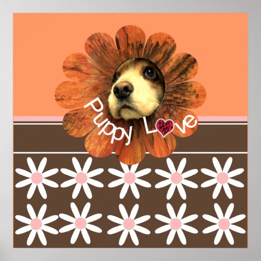 Hondjesliefde Poster (Voorkant)