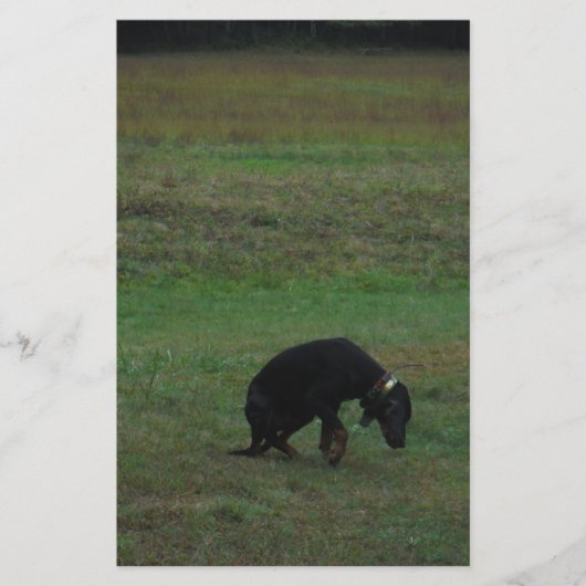 Hondshond die de achtervolging opgeven briefpapier (Voorkant)