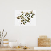 hondshouttak voor witte bloei poster (Keuken)