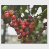 Honduras Coffee Beans Cadeaupapier (Vlak)