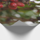 Honduras Coffee Beans Cadeaupapier (Hoek)