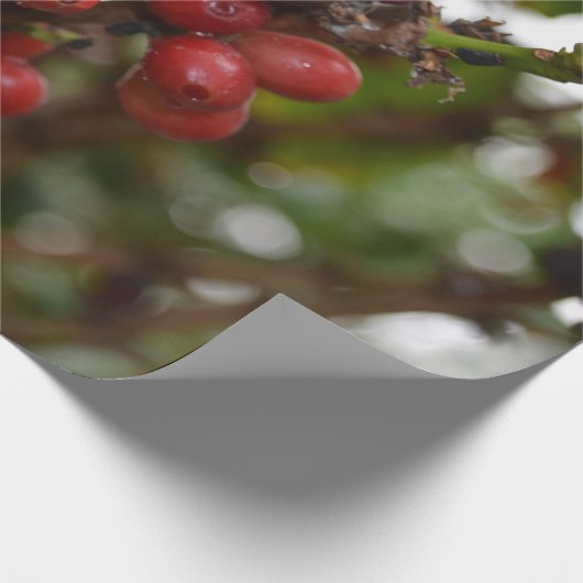 Honduras Coffee Beans Cadeaupapier (Hoek)