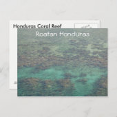 Honduras Coral Reef Briefkaart (Voorkant / Achterkant)
