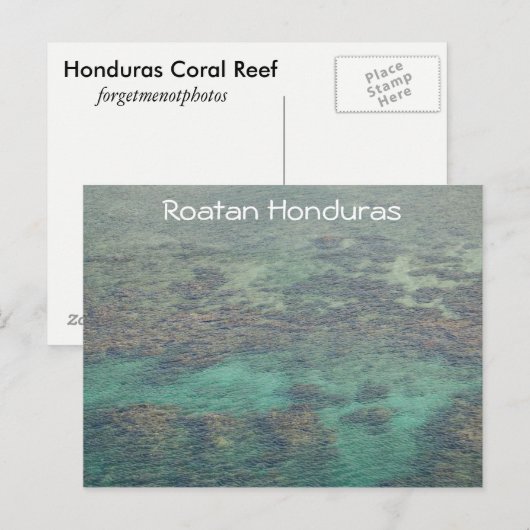 Honduras Coral Reef Briefkaart (Voorkant / Achterkant)