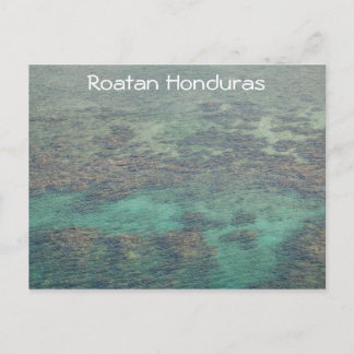 Honduras Coral Reef Briefkaart