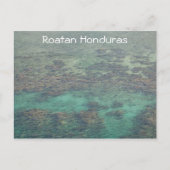 Honduras Coral Reef Briefkaart (Voorkant)