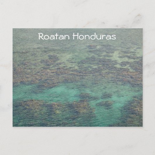 Honduras Coral Reef Briefkaart (Voorkant)