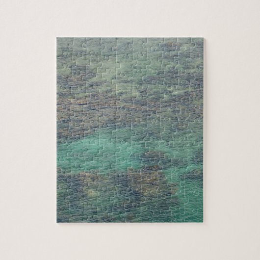 Honduras Coral Reef - hard Legpuzzel (Verticaal)