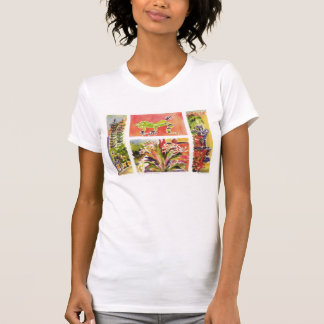 Honduras plaza t-shirt