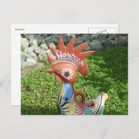 honduras rooster briefkaart (Voorkant / Achterkant)